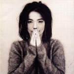 Björk - Human Behaviour