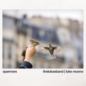 Sparrows artwork