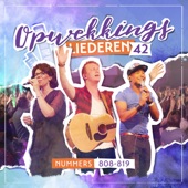 Opwekkingsliederen 42 (Live) artwork