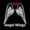 Angel Wings - Logan Michael lyrics
