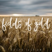 Fields of Gold (Acoustic) artwork