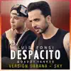 Despacito (Versión Urbana/Sky) song lyrics