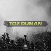 Toz Duman artwork