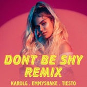Don't Be Shy Remix artwork