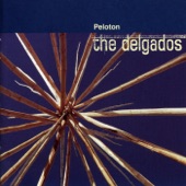 The Delgados - The Arcane Model