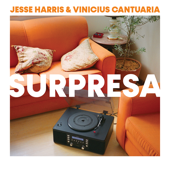 Surpresa - Jesse Harris & Vinícius Cantuária
