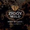 Shot My Love - Single