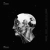 Wrong Assessment - Asceta