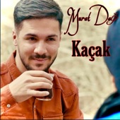 Hezkırına Te Kaçak artwork