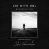 Wonderful Life - Single