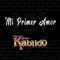 Mi Primer Amor - Raúl García y su Grupo Kabildo de Tuzantla Michoacán lyrics