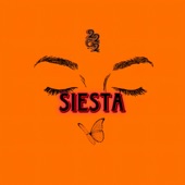 Siesta artwork