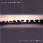 James McMurtry - Gone to the Y