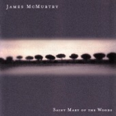 James McMurtry - Saint Mary Of The Woods