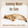 Calming Music For Cats: Meditative Mindfulness State of Mind album lyrics, reviews, download