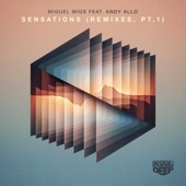 Sensations (feat. Andy Allo) [Sandy Rivera's Classic Deluxe Mix] artwork