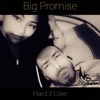 Hard 2 Love - Single