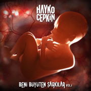 Beni Büyüten Şarkılar, Vol.1 - Hayko Cepkin