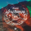 Madina - Sarzamine