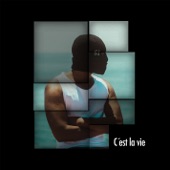 C'est la vie artwork