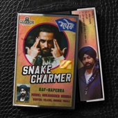 Snake Charmer artwork