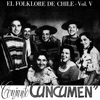 Conjunto Cuncumen - Dices Que Me Quieres Mucho