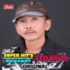 SUPER HIT LEO WALDY