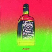 Put Down The Liquor artwork