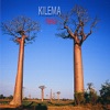 Kilema - Mena, 2015