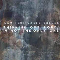 Thinking out Loud / I'm Not the Only One - Single by Sam Tsui & Casey Breves album reviews, ratings, credits