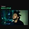 Kiss Land, 2013