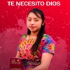 Te Necesito Dios