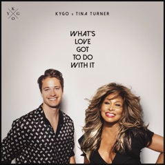 What's Love Got to Do with It - Single