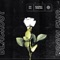 BROTHER (Behind the Track) - Blackout Problems lyrics