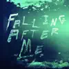 Falling After Me - Single album lyrics, reviews, download