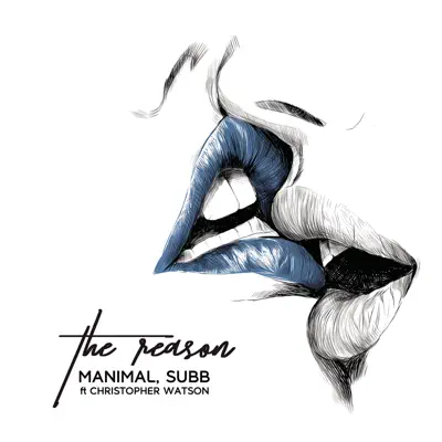 The Reason (Radio Mix) - Single - Subb