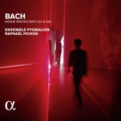 Bach: Missae breves BWV 234 & 235 (Alpha Collection) artwork