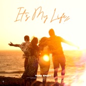 It's My Life (Extended Version) artwork