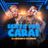 Senta pra Carai - Single