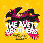 The Avett Brothers - Morning Song
