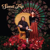 Sweet Trip - At Last a Truth That is Real