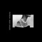 Hissy Fit - Patricia lyrics
