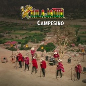 Campesino artwork