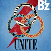 UNITE artwork