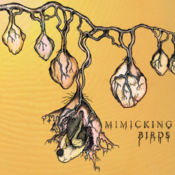 Mimicking Birds - Mimicking Birds Cover Art