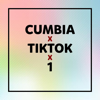 Tiktok Cumbia (Remix) - EP - Calavera