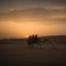Varieteh - Hamidreza Nasimipour lyrics