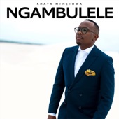 Ngambulele artwork