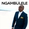 Ngambulele artwork