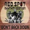 American Girl (feat. Todd Kessler) - Red Spot Rhythm Section lyrics